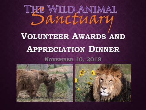 The Wild Animal Sanctuary Keenesburg Co Volunteer Awards