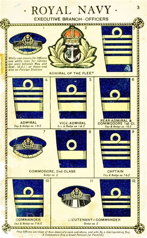 Royal Navy Insignia Great Examples Of The Executive Curl Navy