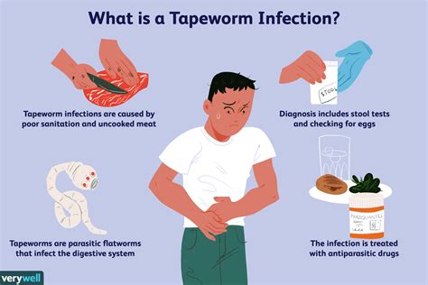 Symptoms Of A Tapeworm Infection And How Its Treated