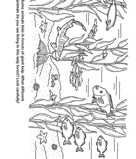 Ures pages photo forest p6444. Forest coloring pages to download and print for free
