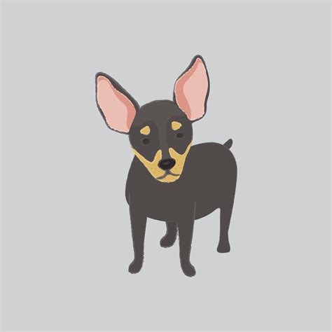 Cute illustration of a chihuahua dog - Download Free Vectors, Clipart Graphics & Vector Art