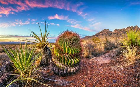 New Mexico In Pictures 14 Beautiful Places To Photograph