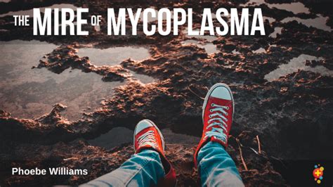 The Mire Of Mycoplasma Dont Forget The Bubbles