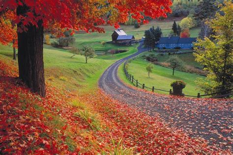 5 Favorite New England Fall Foliage Tours Good Mood