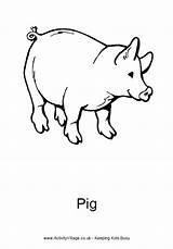 Pig Pages Colouring Coloring Farm Animal Activity Pigs Colour Kids Year Print Village Explore Animals Activityvillage Printables sketch template