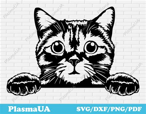 Peeking Cat Svg Cut Files Peeking Pets Svg Cat For Cricut Etsy Canada