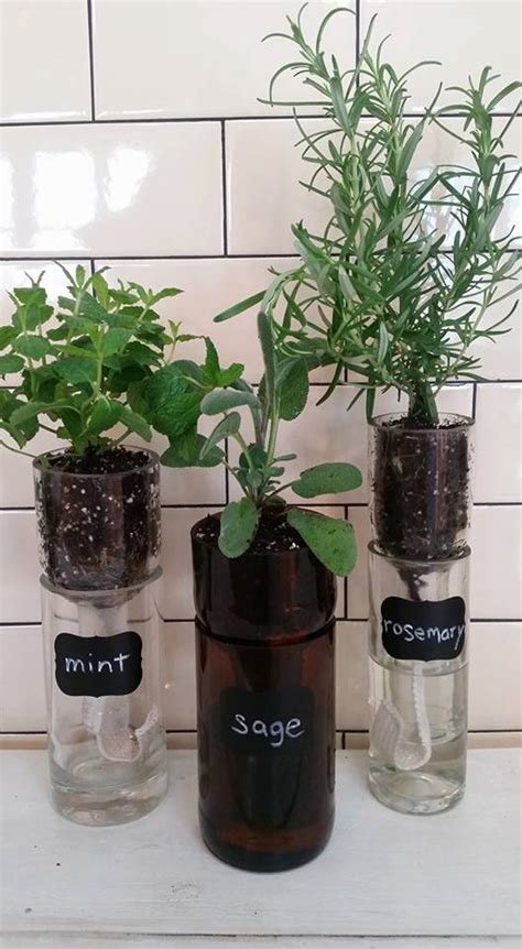 Self Watering Recycled Wine Bottle Planter Herb Planter Etsy Self