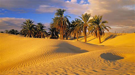 Tunisia Africa Desert Oasis