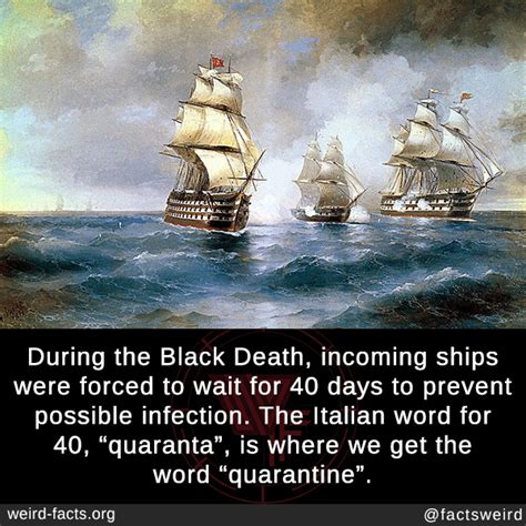 Weird Facts During The Black Death Incoming Ships Were Forced