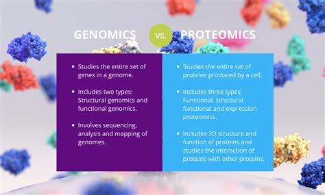 Whats The Difference Between Proteomics And Genomics