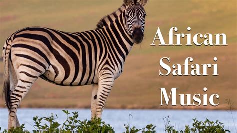 African Safari Music African Safari Instrumental Music African