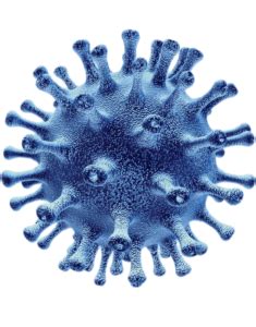 Please use search to find more variants of pictures and to choose between available options. Coronavirus Germs Transparent PNG Image File - Png Press ...