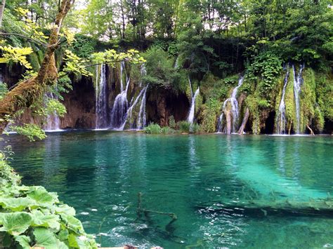 Free Images Tree Forest Waterfall Pond Jungle Body Of Water
