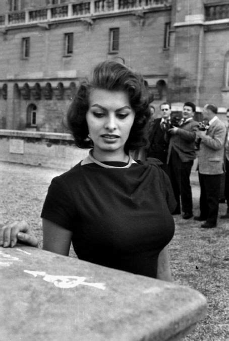 Sophia Loren Sophia Loren Photo 11231781 Fanpop