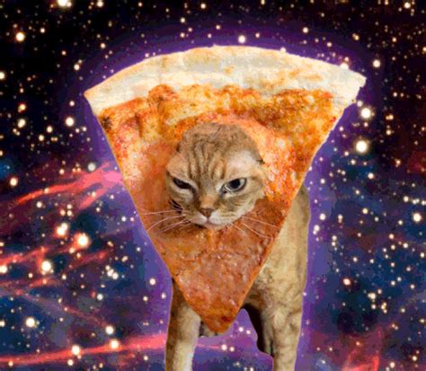 Space Cat Tumblr Gifs