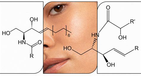 What Are The Benefits Of Ceramides For Skin In 2021 Ceramides Skin