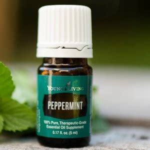 How concentrated are essential oils? Essential Oils and DIY Recipes: Why I love Peppermint ...