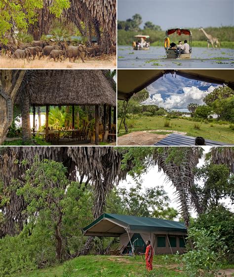 Our Secret Season Safari In East Africa Africa Geographic