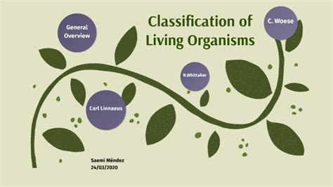 Classification Of Living Organisms By Saemi Mendez