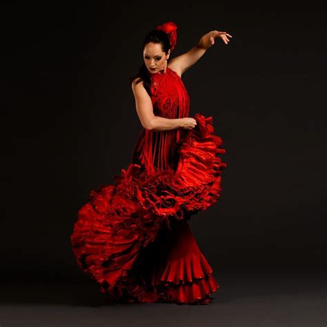 Image Result For Flamenco Flamenco Dress Flamenco Dancing Flamenco