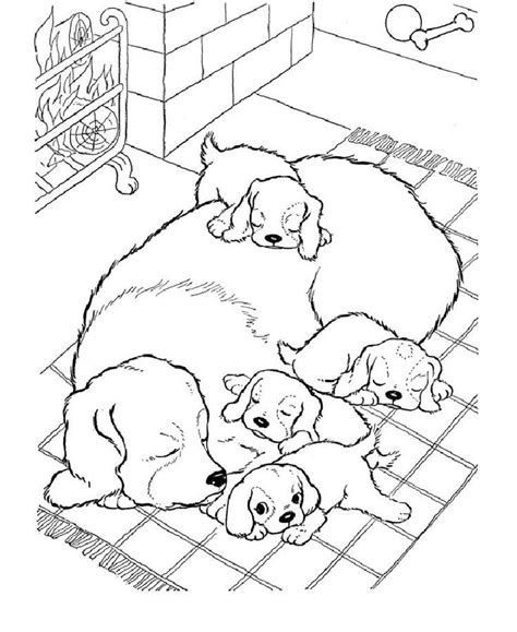 Real Life Dog Coloring Pages Puppy Coloring Pages Dog Coloring Page Animal Coloring Pages