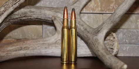 5 Cartridges To Consider For Elk Hunting Exo Mountain Gear