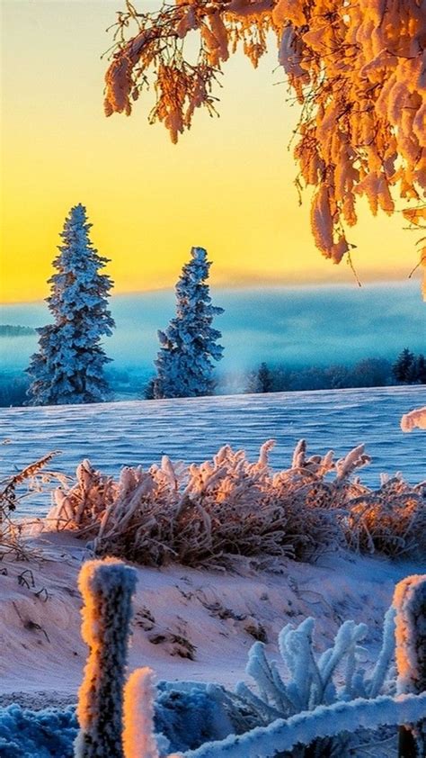 Iphone Nature Wallpaper 1080x1920 Beautiful Winter Sunrise