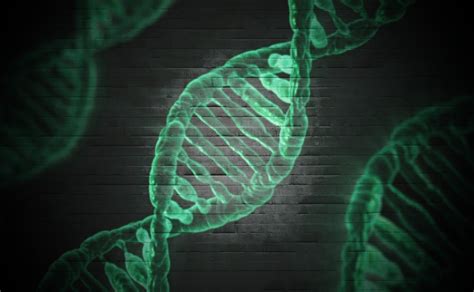 Researchers Reveal Key Information About How Genes Turn On And Off