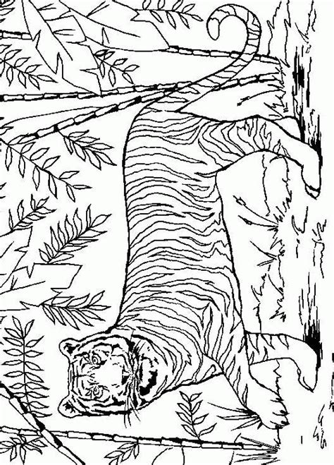 Top 20 tiger coloring pages: Coloring Pages Tigers: Animated Images, Gifs, Pictures ...