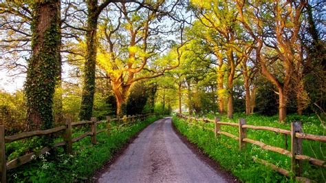 Download Wallpaper 1920x1080 England Great Britain Nature Road