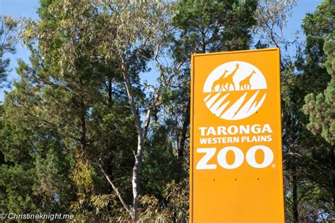 Top Tips For Visiting Taronga Western Plains Zoo Dubbo Adventure Baby