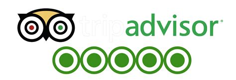 Tripadvisor Logo Png And Icons Free Download Free Transparent Png Logos