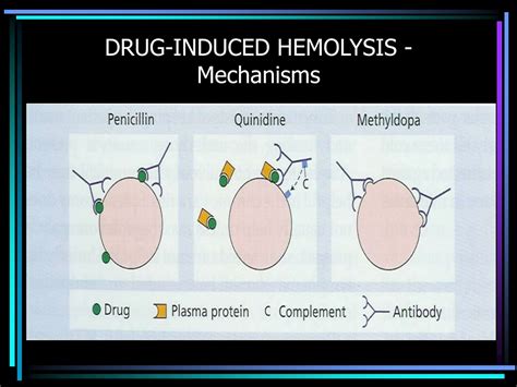 Ppt Hemolytic Anemias Powerpoint Presentation Free Download Id9235740