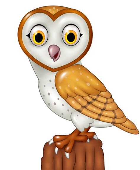 Best Barn Owl Illustrations Royalty Free Vector Graphics