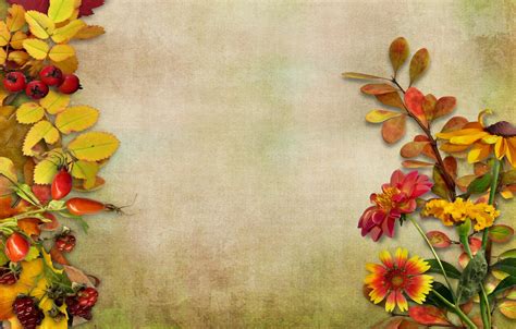 28 Autumn Flowers Desktop Wallpaper Basty Wallpaper