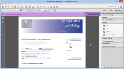 Adobe Acrobat XI Creating Forms Tutorial Creating Radio Buttons And Checkboxes YouTube