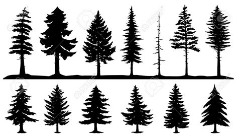 Immagine Correlata Pine Tree Silhouette Evergreen Tree Tattoo Tree