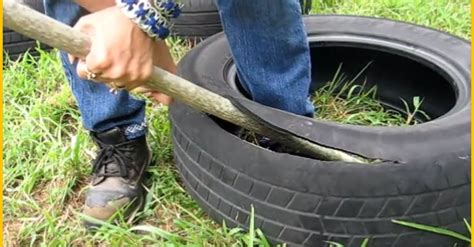 Make a tire swing for your child. Video Turning A Tire Into A Garden Pot. Reuse The Old Tire And Refresh Your Garden ...