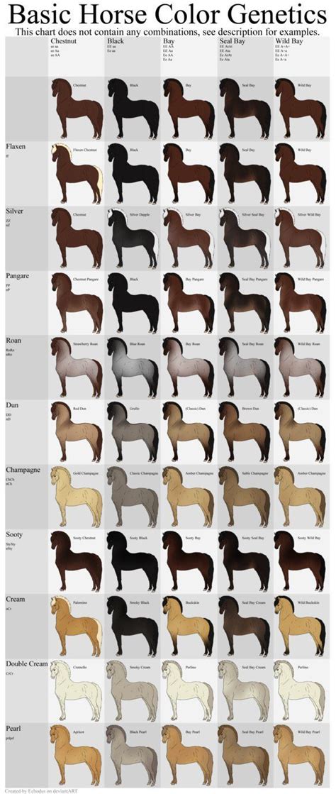Basic Horse Color Genetics Chart