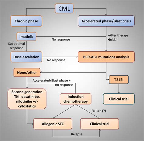 Modern Therapy Of Chronic Myeloid Leukemia Intechopen