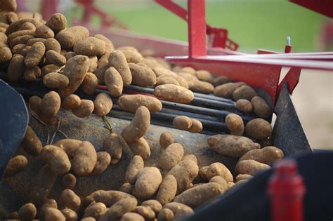 2018 Stats For Nw Potatoes Released Potato Grower Magazine