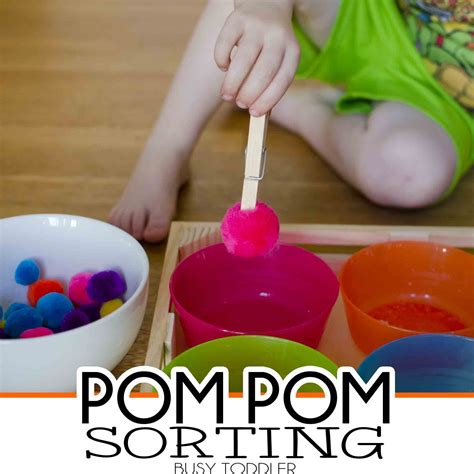 Pom Pom Sorting Fine Motor Skills Activity Busy Toddler