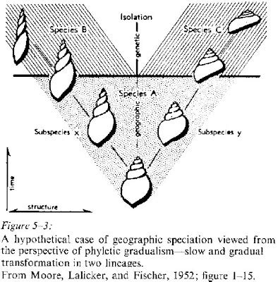 Sandwalk Darwin on Gradualism