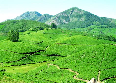 It's not a destination for an average tourist and appeals. Munnar Travel Guide | Munnar Tour Packages |Munnar Day Tours | Munnar Group Tours