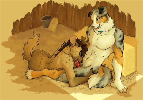 Rule 34 Border Collie Canine Furry Furry Only Gay Hyena Kaiven Male
