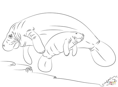 Now you can relax and color marvelous manatees to your heart's content. Manatee Mother And Baby coloring page | Free Printable ...