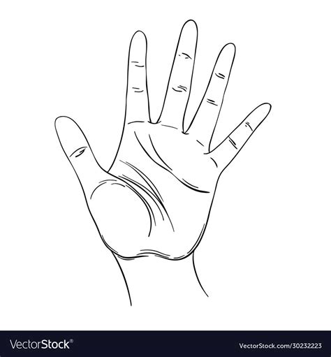 Open Hand Human Palm Hand Drawn Royalty Free Vector Image