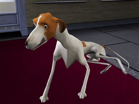 Check spelling or type a new query. Sometimes sims 3 pets scare me : thesims