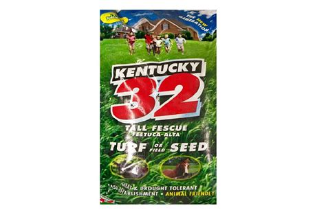 Ky 32 Tall Lawn Fescue Lawn Grass Seed Nixa Hardware And Seed Company
