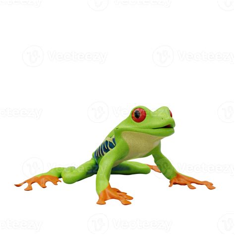 Red Eyed Tree Frog 22308336 Png